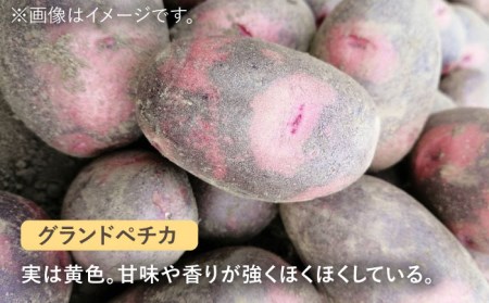 ※数量限定※【先行予約】自然栽培のじゃがいも 3種 約5kg 多治見市 / ほたるファーム 農家直送 芋 詰め合わせ 詰合せ カラフルじゃがいも ジャガイモ 自然栽培 新鮮 おいしい 旬 野菜 季節 限定 送料無料 [TEB002]