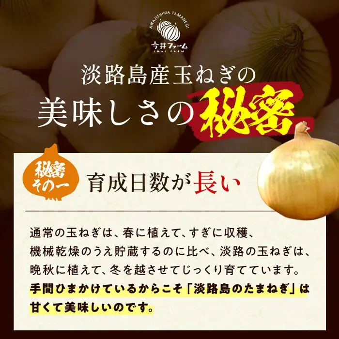 今井ファームの淡路島たまねぎ「かくし玉」5kgとたまねぎスープ10食