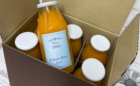 和田農園の三ヶ日みかんを丸ごと搾ったみかんジュース 3種アソート6本入り 果汁飲料 フルーツジュース 旬のみかん 爽やか 100％ストレートジュース 飲み比べ 