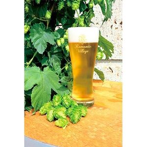 宇都宮 クラフトビール オールスター6本セット(各330ml)【 ビール ギフト 飲み比べ 栃木県 宇都宮市 】※離島への配送不可