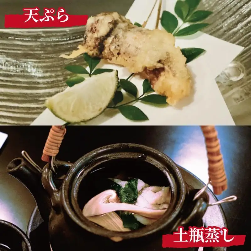 先行予約 国産松茸 約300g 数量限定 香り高く希少【和歌山県高野町産】【2026年9月下旬～11月上旬頃発送予定】