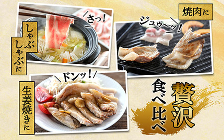 【6か月定期便】庄内三元豚 毎月 500g×3パック ブランド豚 三元豚 国産 しゃぶしゃぶ 焼肉 ロース 高級 BBQ バーベキュー ぶた肉 豚肉 豚 食べ比べ パック セット 冷凍 定期【7月中旬発送/入金期限：2026年6月25日】