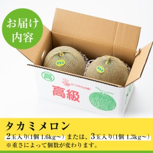 タカミメロン(2～3個入) メロン 青肉 果物【曽於市観光協会】A153-v02