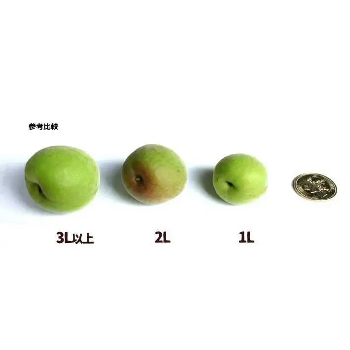 和歌山県産 紀州南高梅 完熟 秀品 5kg（3L以上〜Lサイズ混合）