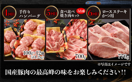 【肉の定期便×6回コース】肉好き大集合！臭みゼロの豚肉「荒島ポーク」食べ比べ 定期便！【福井のブランド豚肉】