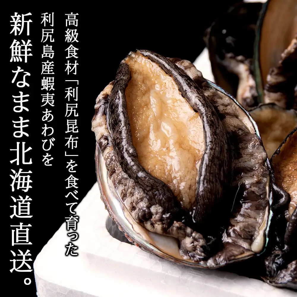 【2026年発送予約】利尻島産 直送！I 利尻あわび 天然 生えぞあわび 500g 鮑 海鮮 冷蔵 お刺身 魚介 お祝い【福士水産】 北海道ふるさと納税 北海道産 アワビ 産地直送 蝦夷あわび
