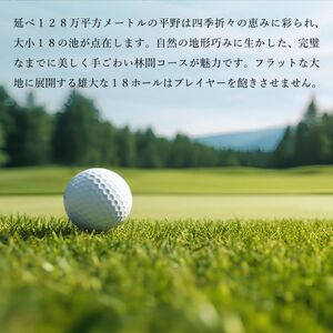 加西インターカントリークラブ プレー割引券 9000円分[ ゴルフ プレー券 兵庫県 ] ゴルフ場利用権 運動 コース ラウンド フラット 18ホール 