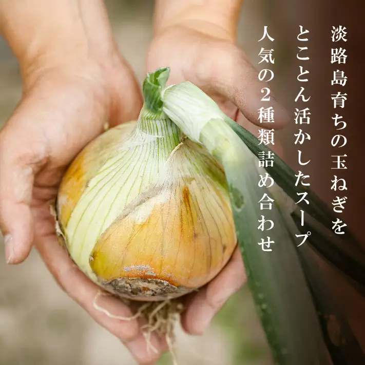淡路たまねぎスープ詰め合わせ（玉ねぎスープ・ポタージュ）45食　