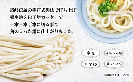讃岐うどん 金箔入り 龍の涙 6-9人前 うどん