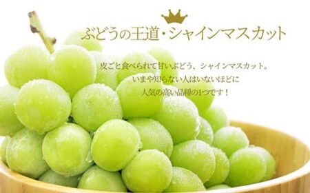 《2026年発送 先行予約》 山形県産 訳あり シャインマスカット 1.8kg 3～4房 マスカット ぶどう ブドウ 葡萄 デザート フルーツ 果物 くだもの 果実 食品 山形県 FSY-0580