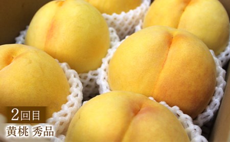 【2026年先行予約 定期便3回】 桃が好き！旬の桃食べつくし定期便 各2kg FSY-2388