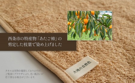 「地域の自然を染めるタオル」 フェイスタオル・タオルハンカチ 各1枚セット（ライトブラウン／あたご柿）