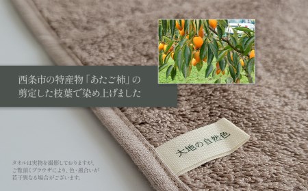 「地域の自然を染めるタオル」 フェイスタオル・タオルハンカチ 各1枚セット（ライトグレー／あたご柿）