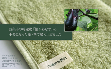 「地域の自然を染めるタオル」 フェイスタオル・タオルハンカチ 各1枚セット（うす緑／絹かわなす）