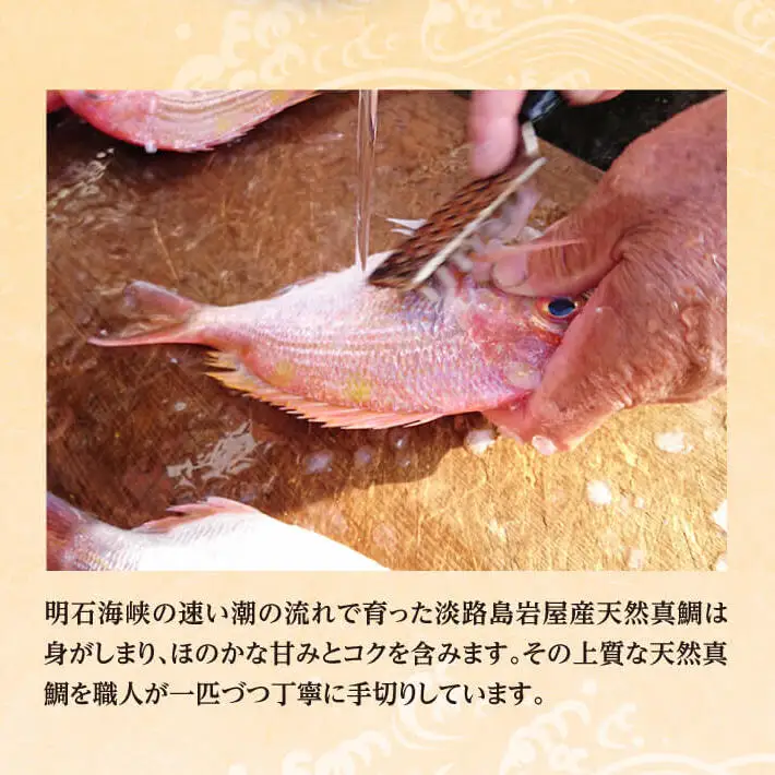 淡路島「天然岩屋鯛」しゃぶしゃぶセット(約3人前)【お届け日指定返礼品】