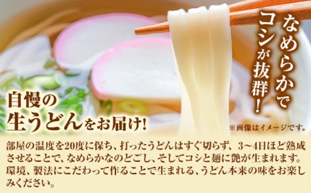 うどんよし野 冷凍 生うどん 8人前