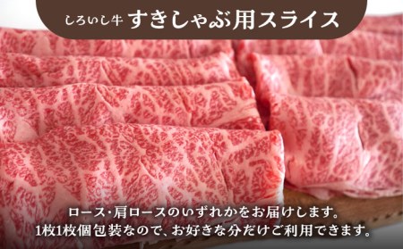 【6回定期便】家族向け お楽しみ 定期便プレミアム/ 牛肉 [IAH213]