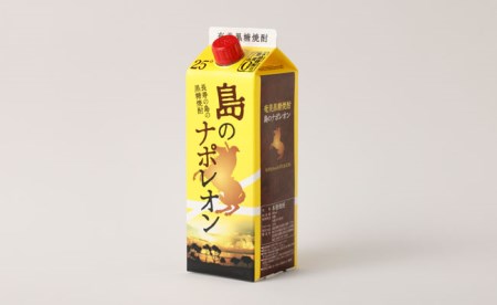 【定期便年12回】黒糖焼酎 島のナポレオン 900ml×3本セット 計36本 パック A-12