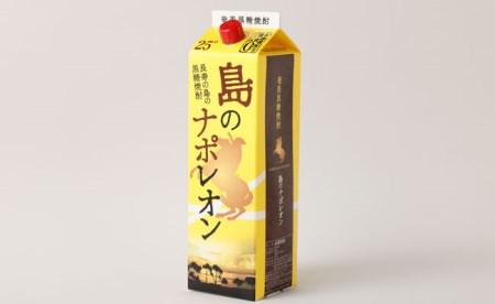【定期便年12回】黒糖焼酎 島のナポレオン 1800ml×3本セット 計36本 パック A-15