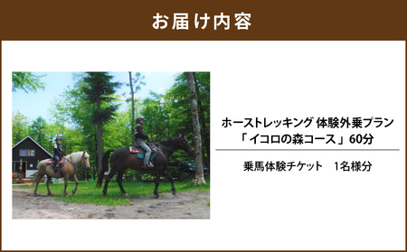 ホーストレッキング 体験外乗プラン 60分 「イコロの森コース」　T014-001 体験 チケット