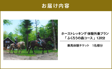 ホーストレッキング 体験外乗プラン 120分 「ふくろうの森コース」　T014-003 体験 チケット