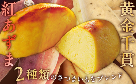 黄金 スイートポテト 15個 T047-002 スイーツ お菓子