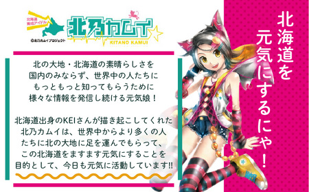 【ガラナ 500ml×24本】北乃カムイ　T057-002 飲料