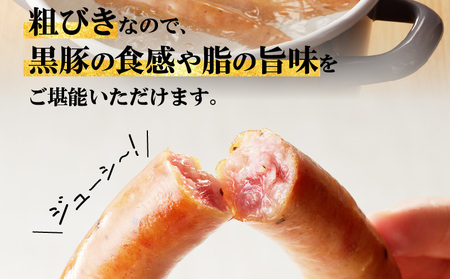 至高の 鹿児島黒豚 ウインナー 8P K161-005 肉 豚肉 惣菜 総菜 冷凍