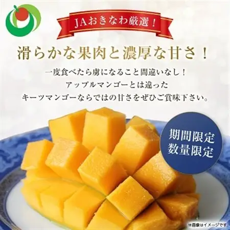 【2026年8月から順次発送・贈答用】JAおきなわ厳選!幻のキーツマンゴー約2kg(2～3玉)【配送不可地域：離島】【1390927】