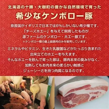 ケンボロー・ホエー豚のスライス肉1.2kgとひき肉800gセット【CT-018】_肉  豚肉 _【配送不可地域：離島】【1396951】