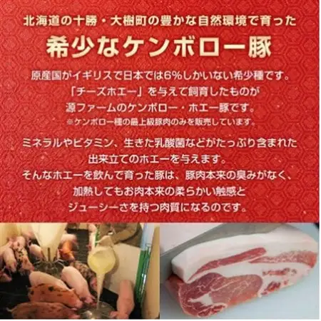 【無添加】ケンボロー・ホエー豚　ソーセージ・ベーコンセット_肉 ソーセージ・ウインナー 豚肉   肉 ベーコン・サラミ 豚肉 _【配送不可地域：離島】【1396954】