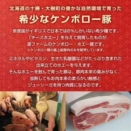 北海道十勝のグルメ!ホエー豚の豚丼セット(4人前)_肉  豚肉 _【配送不可地域：離島】【1396962】