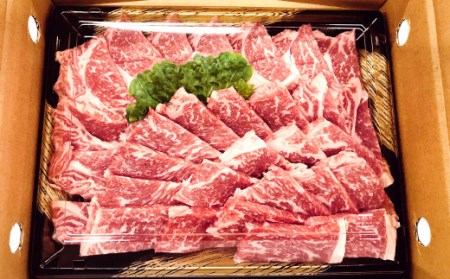 【数量限定 博多和牛】ロース 焼肉用 500g 牛肉 黒毛和種 和牛 霜降り 肉 焼肉 BBQ バーベキュー 国産 福岡県産