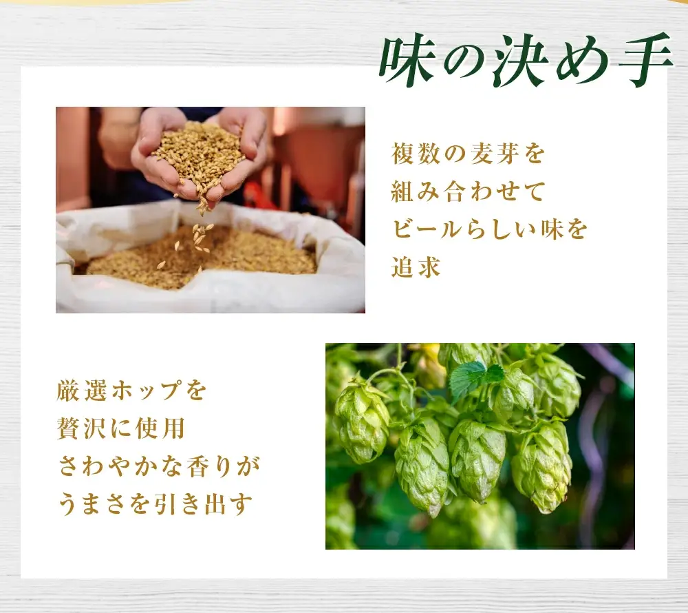 【6か月定期便】【福島のへそのまち　もとみや産】スタイルフリー350ml×24本　【07214-0365】