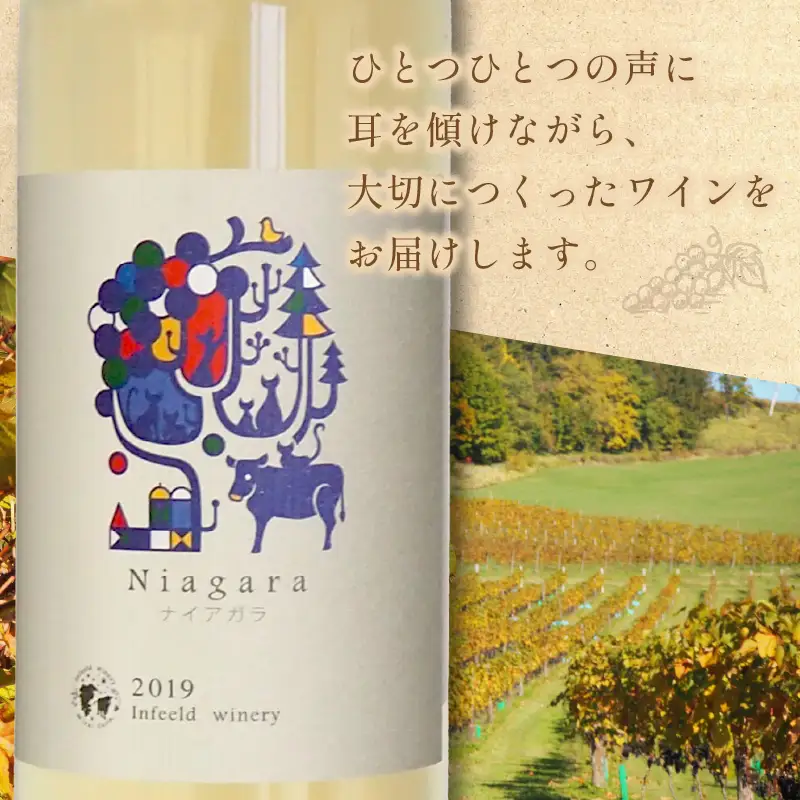 《14営業日以内に発送》ナイアガラ2本セット ( ワイン お酒 酒 ぶどう セット )【138-0015】