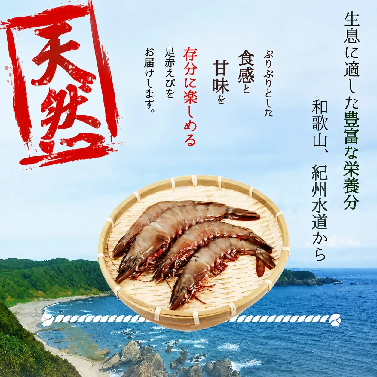 紀州和歌山産天然足赤えび540g×2箱（270g×4パック）化粧箱入 ※2026年12月上旬〜2027年2月上旬頃順次発送予定（お届け日指定不可）【uot773A】