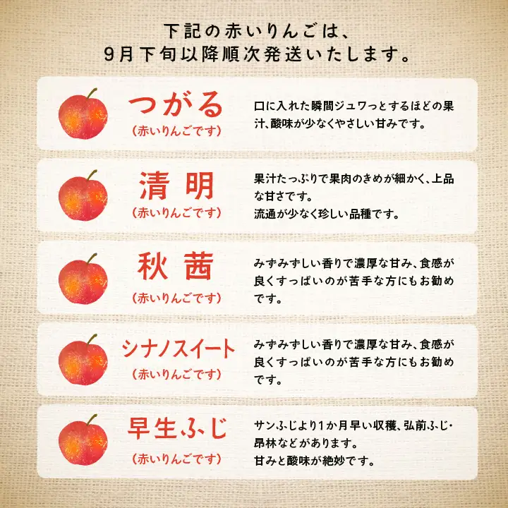 《2026年9月下旬以降順次発送》羽山りんご 品種おまかせ(早生・中早生)  5㎏【羽山果樹組合】