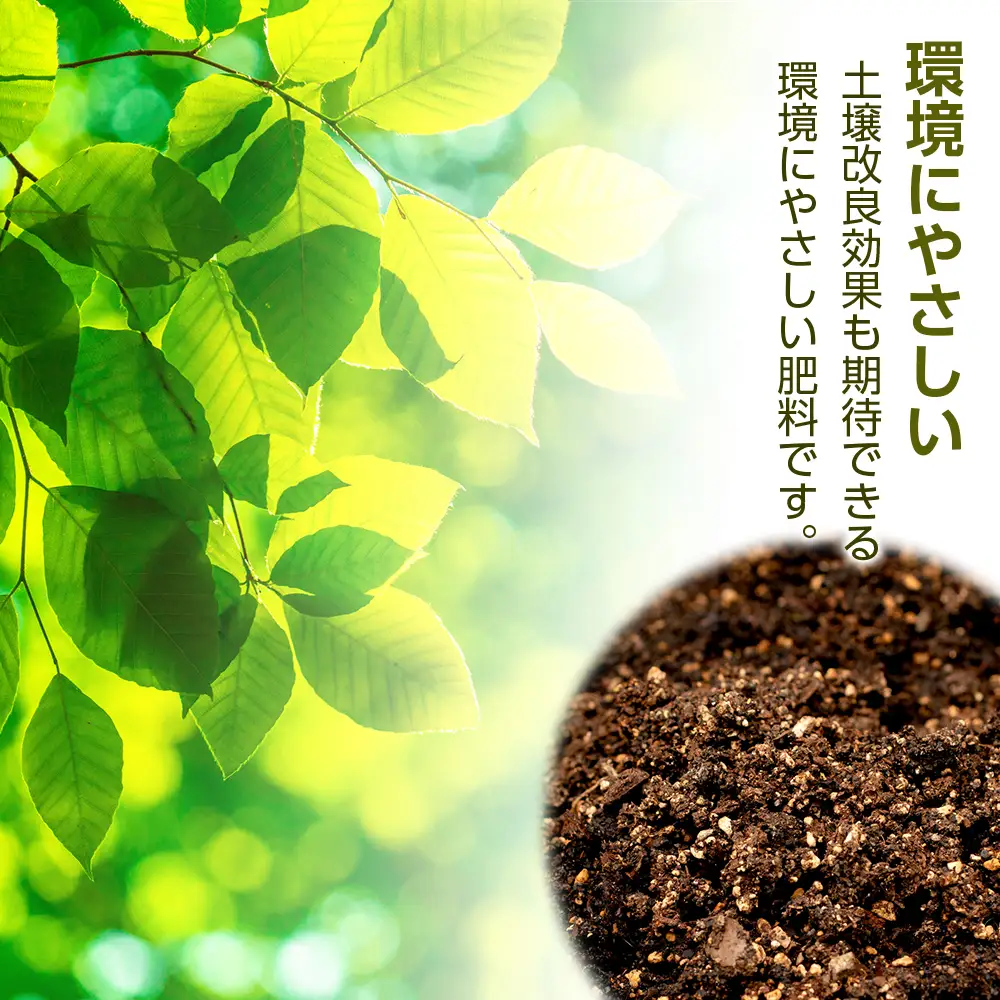 肥料 貝化石 20kg 2袋