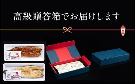 浜名湖産 朝じめ鰻 溶岩焼き コンビセット 約140g×2尾（蒲焼き 1尾・白焼き 1尾） 熟練 職人 国産 天然溶岩 手焼き 鰻専門店 焼きたて 美味しい 冷蔵便 極上 ふわとろ 食感 