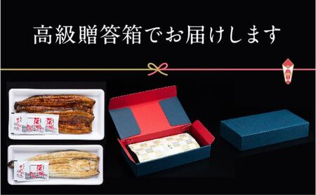 浜名湖産 朝じめ鰻 溶岩焼きコンビセット 約140g×3尾（蒲焼き 2尾・白焼き 1尾） 熟練 職人 国産 天然溶岩 手焼き 鰻専門店 焼きたて 美味しい 冷蔵便 極上 ふわとろ 食感 