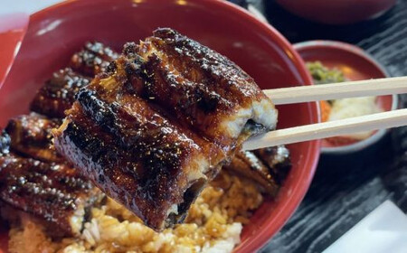 うなぎ 蒲焼1本九州産 | 豊後高田市 うなぎ