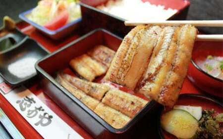 うなぎ 白焼1本九州産 | 豊後高田市 うなぎ