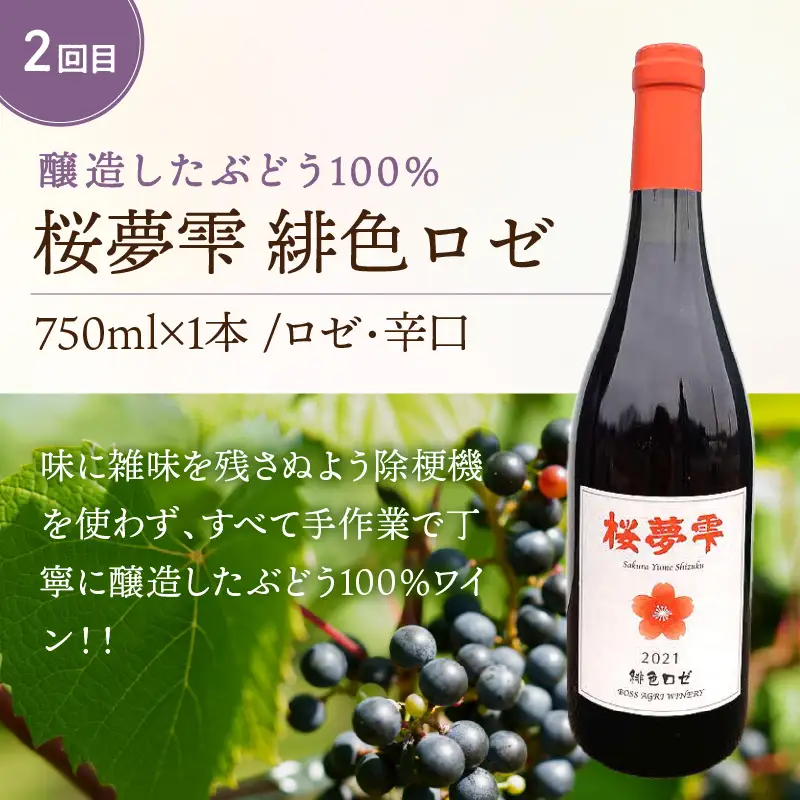【3ヶ月定期便】こだわり地酒セット ( お酒 酒 地酒 ビール 地ビール ワイン ロゼワイン りんご 旭りんご シードル )【999-0271】