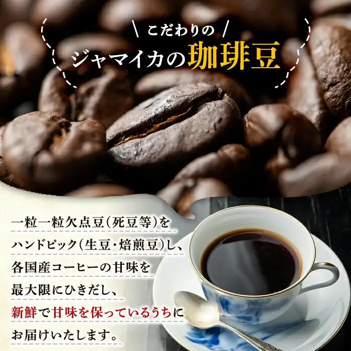 自家焙煎コーヒー　地元老舗店が贈る”ジャマイカ探究セット”（100g×12種）自家焙煎のコーヒーの詰め合わせ！店主厳選の珈琲を飲み比べてみてください♪【00-042-03】