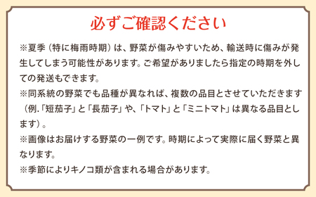 【定期便 毎月コース】 野菜のプロ40年が届けるこだわり野菜セット！ 7～8品目 詰め合わせ 【2026年1月上旬より発送開始】
