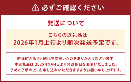 野菜のプロ40年が届けるこだわり野菜セット！ 7～8品目 詰め合わせ 【2026年1月上旬より順次発送予定】