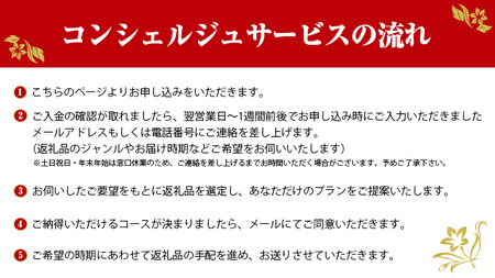 あなただけの プレミアム コンシェルジュ コース ( 50万円 )