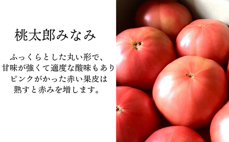 【2026年7月上旬発送開始予定】 岩手県産 こだわりトマト 詰め合せセット （ 大玉 1kg ／ ミニトマト 700g ） ／ 大玉 とまと トマト 大玉とまと 大玉トマト ミニトマト ミディトマト 新鮮 夏野菜 旬 季節野菜 旬野菜 期間限定 季節限定 野菜 お野菜 産地直送 農家直送 八幡平市産 おすすめ 【田村和大】
