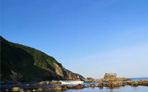 8-017-001　ましけの塩うに（バフン・ノナ）セット