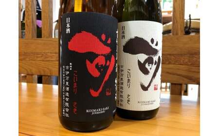 古伊万里「前」純米吟醸、純米酒　720ml×2本 019-D249
